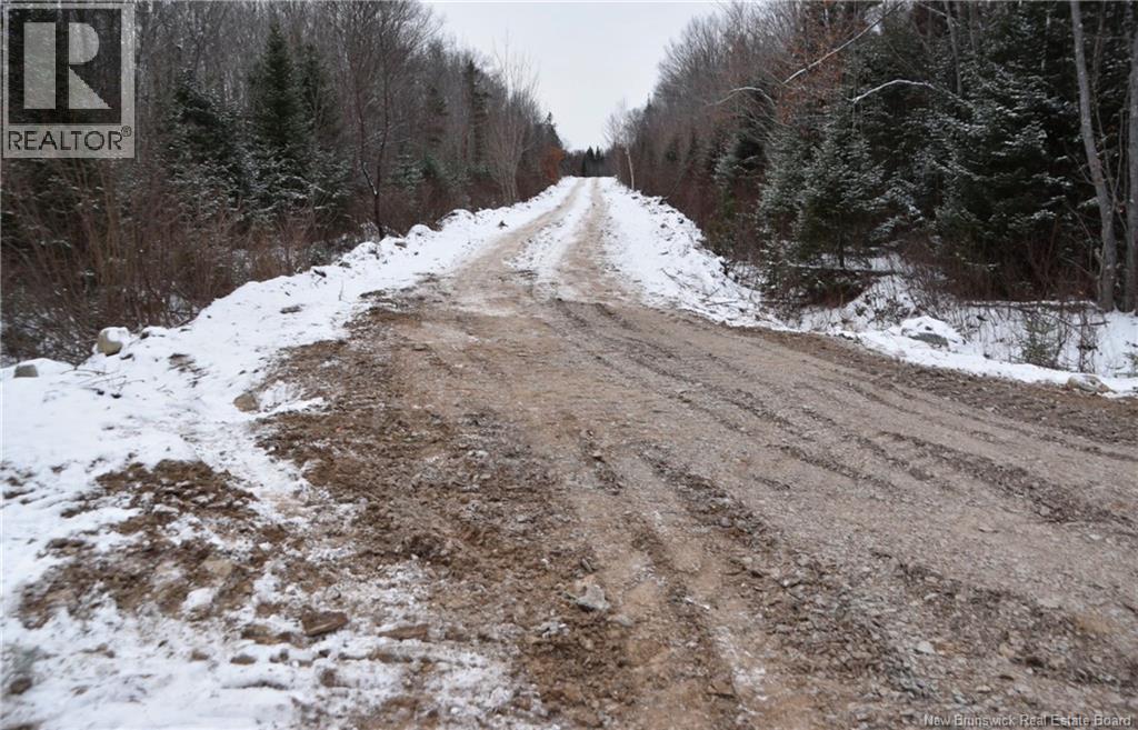 Lot Belledune Road, Belledune, New Brunswick  E8G 1Z5 - Photo 8 - NB138967
