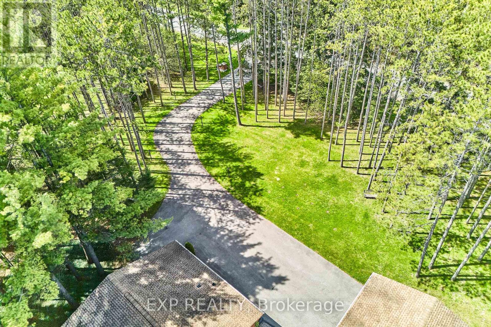 7985 Cedarbrook Trail, Whitby, Ontario  L1M 1L9 - Photo 7 - E13153656