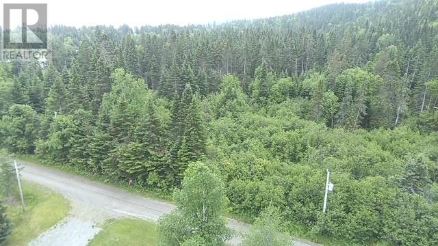 Lot Bungalow Hill, Spruce Brook, Newfoundland & Labrador