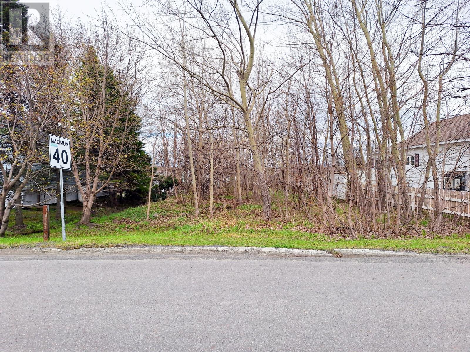 69 Earle Street, Grand Falls-Windsor, Newfoundland & Labrador