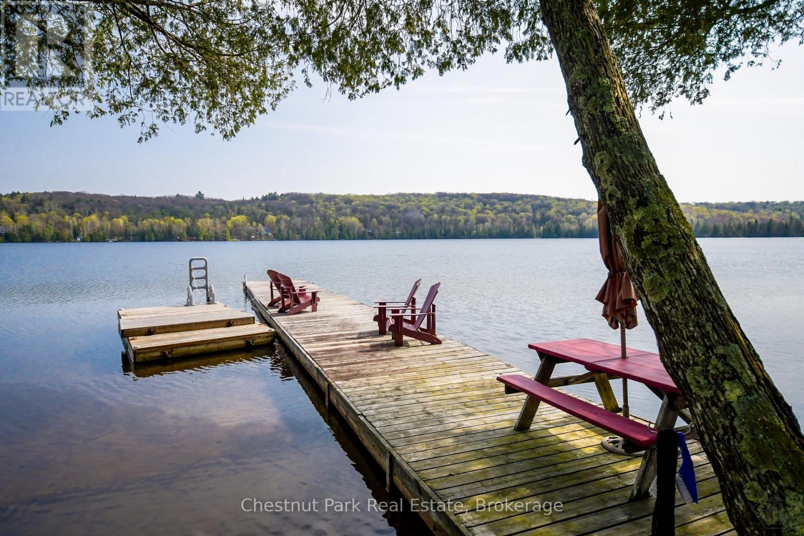 1408 Bay Lake Road, Perry, Ontario  P0A 1C0 - Photo 4 - X13153724