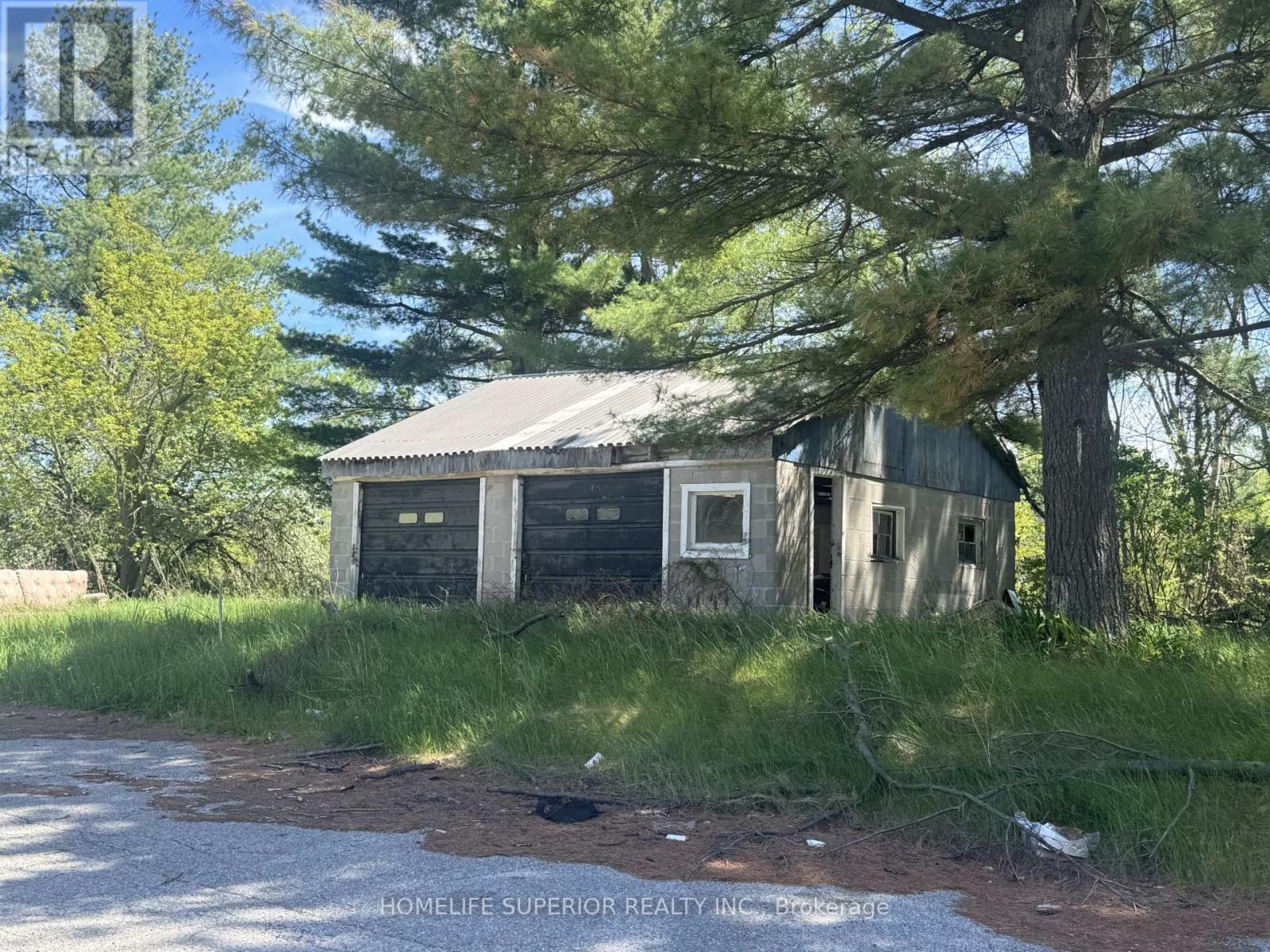 7963 Hwy 7, Havelock-Belmont-Methuen, Ontario  K0L 1Z0 - Photo 10 - X13127628