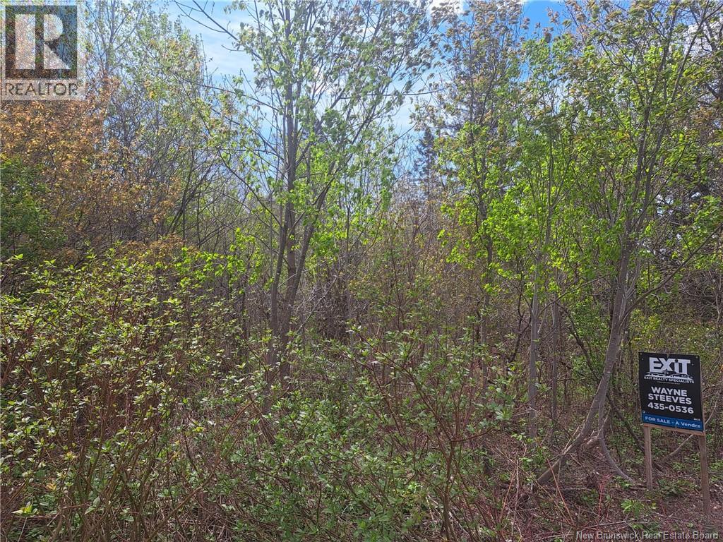 163 Quirk Road, Wards Creek, New Brunswick  E4E 4N6 - Photo 5 - NB130575