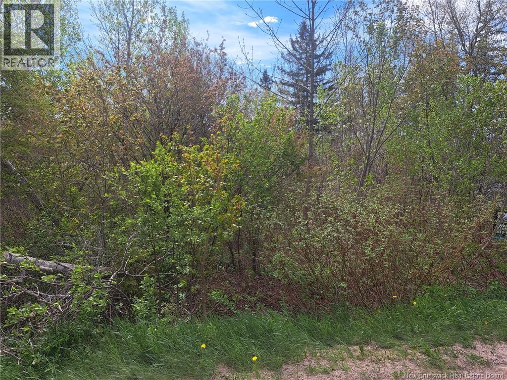 163 Quirk Road, Wards Creek, New Brunswick  E4E 4N6 - Photo 6 - NB130575