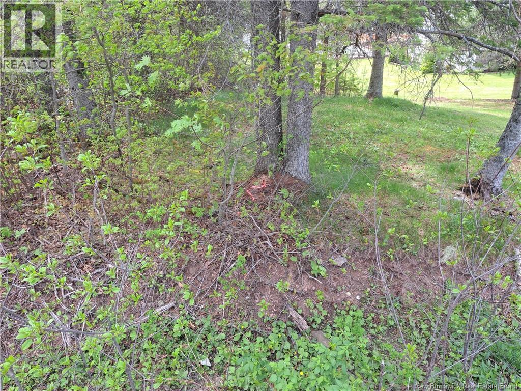 163 Quirk Road, Wards Creek, New Brunswick  E4E 4N6 - Photo 2 - NB130575