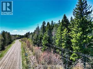 85-197 And 85-198 Harbour Heights Drive, Welshpool, New Brunswick  E5E 1H6 - Photo 1 - NB140003