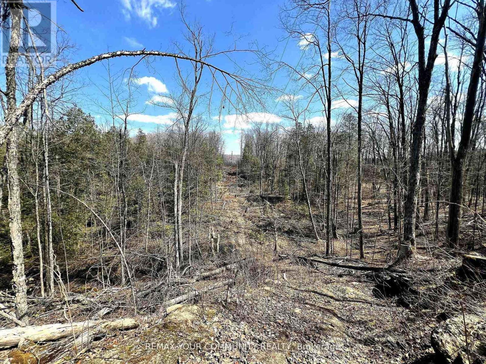 1534 Salerno Lake Road, Highlands East, Ontario K0M 1X0 - Photo 26 - X13153826
