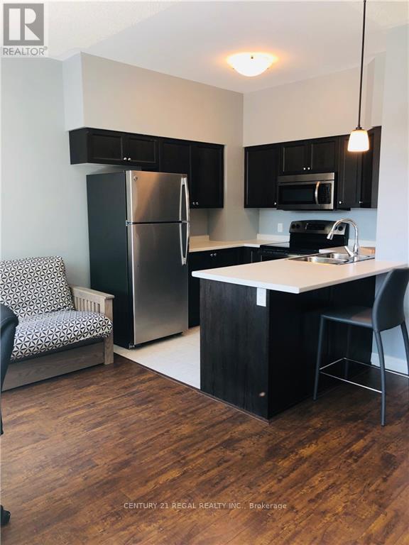414 - 112 King Street E, Hamilton, Ontario  L8N 0A9 - Photo 8 - X13153864