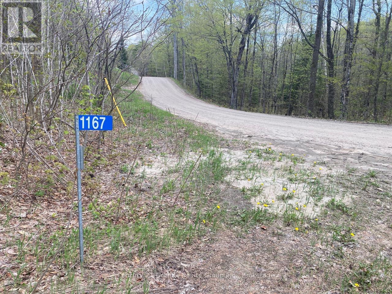 1167 Precipice Road, Dysart Et Al, Ontario  K0M 1S0 - Photo 37 - X13154456