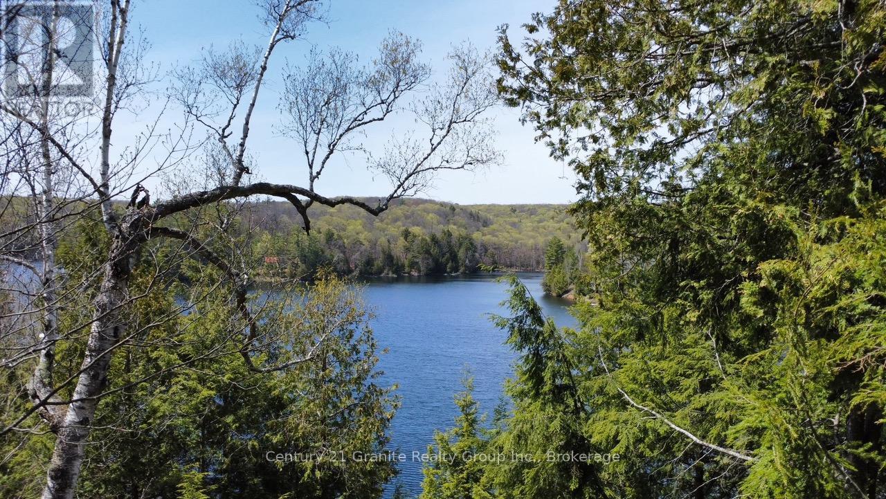 1167 Precipice Road, Dysart Et Al, Ontario  K0M 1S0 - Photo 5 - X13154456