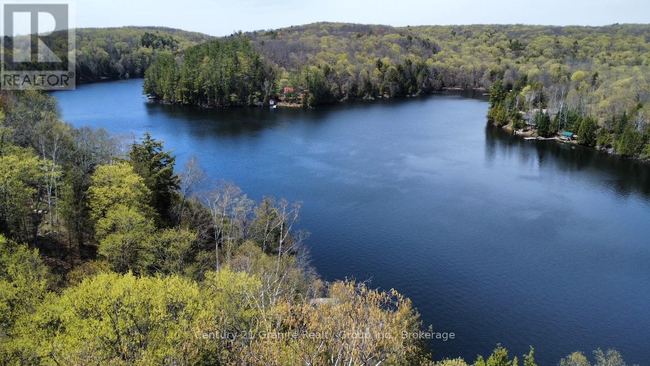 1167 Precipice Road, Dysart Et Al, Ontario  K0M 1S0 - Photo 6 - X13154456