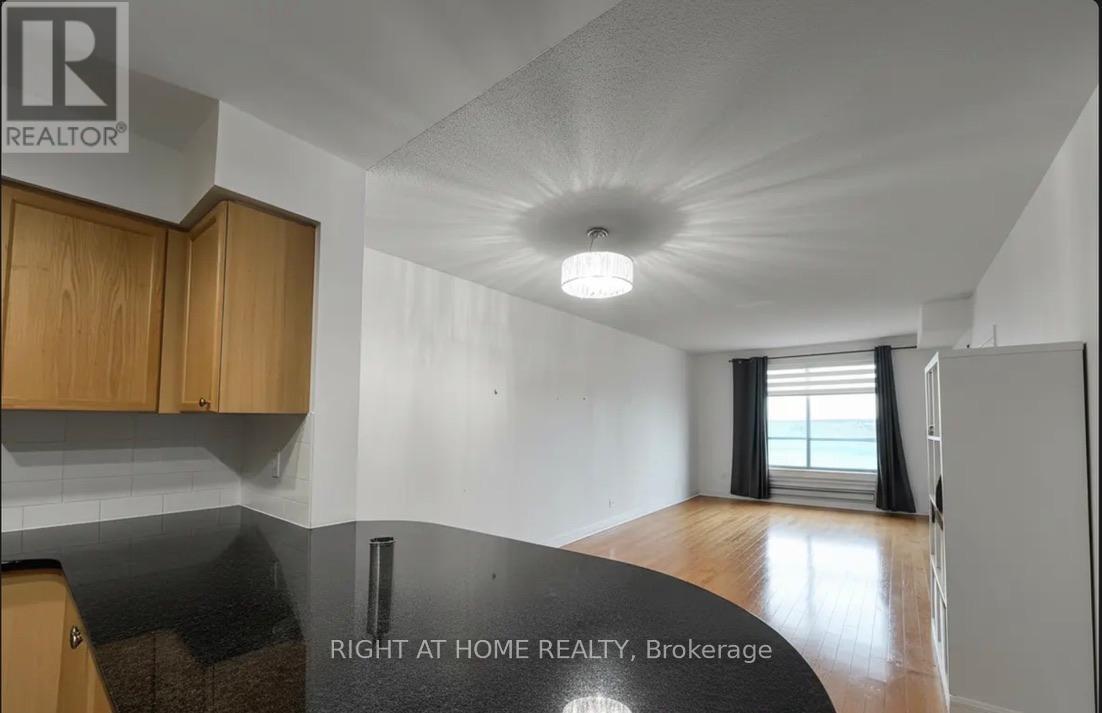 11 Oneida Crescent, Richmond Hill (Langstaff), Ontario  L4B 0A1 - Photo 6 - N13154534