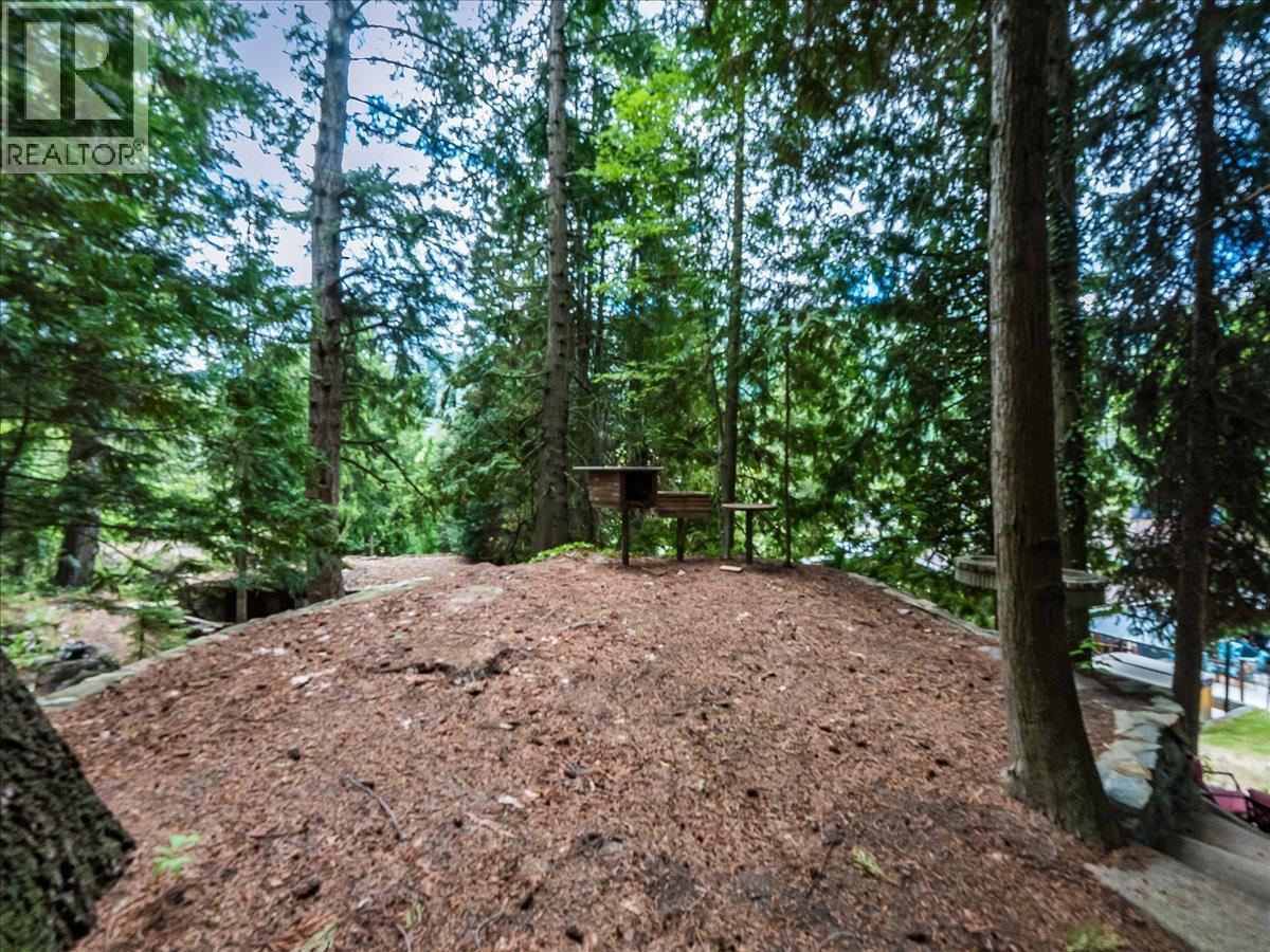 2927 Upper Levels Road, Robson, British Columbia V0G 1X0 - Photo 87 - 10387650