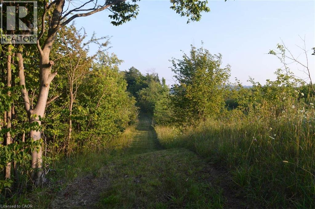 317278 Third Line, Meaford, Ontario  N4L 1W7 - Photo 41 - 40796194