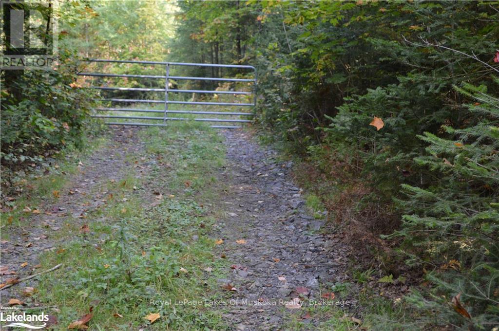 Lot 20 Concession 5 Road, Huntsville, Ontario  P1H 2J3 - Photo 2 - X13154838