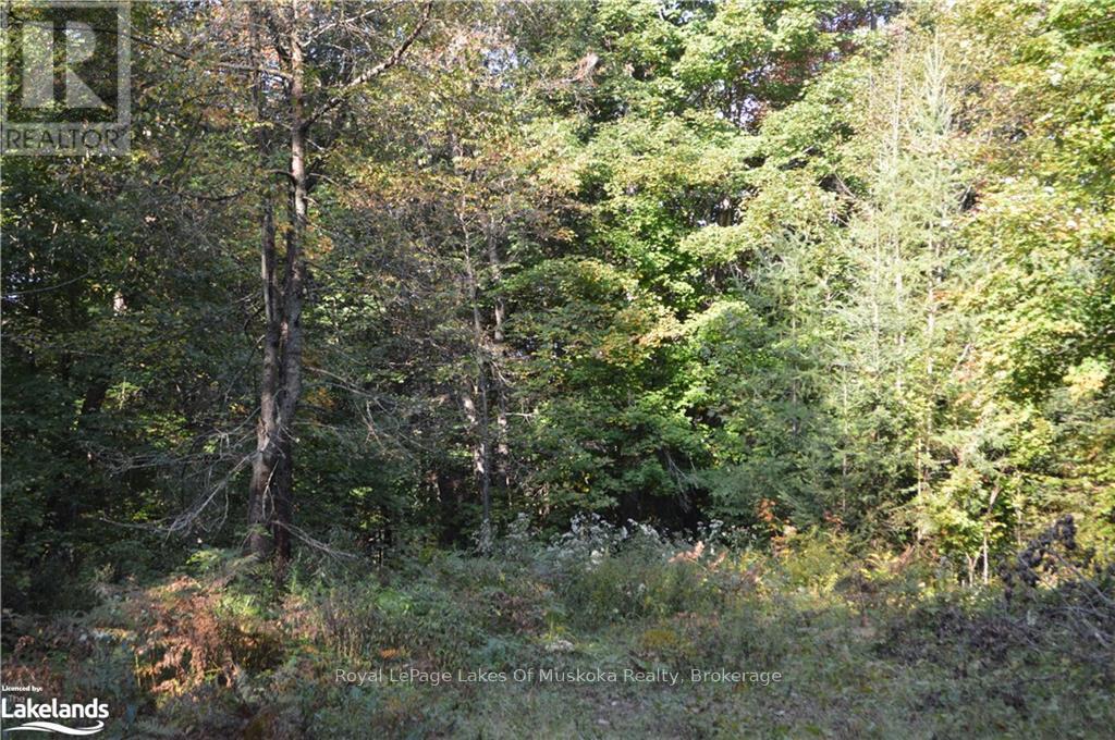 Lot 20 Concession 5 Road, Huntsville, Ontario  P1H 2J3 - Photo 5 - X13154838