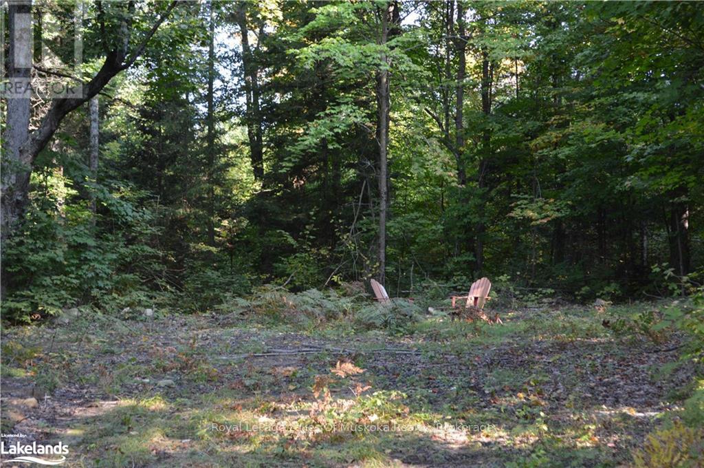 Lot 20 Concession 5 Road, Huntsville, Ontario  P1H 2J3 - Photo 6 - X13154838