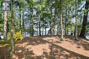 1000 Regatta Island W, Bracebridge, Ontario  P1L 1W8 - Photo 4 - X13155046