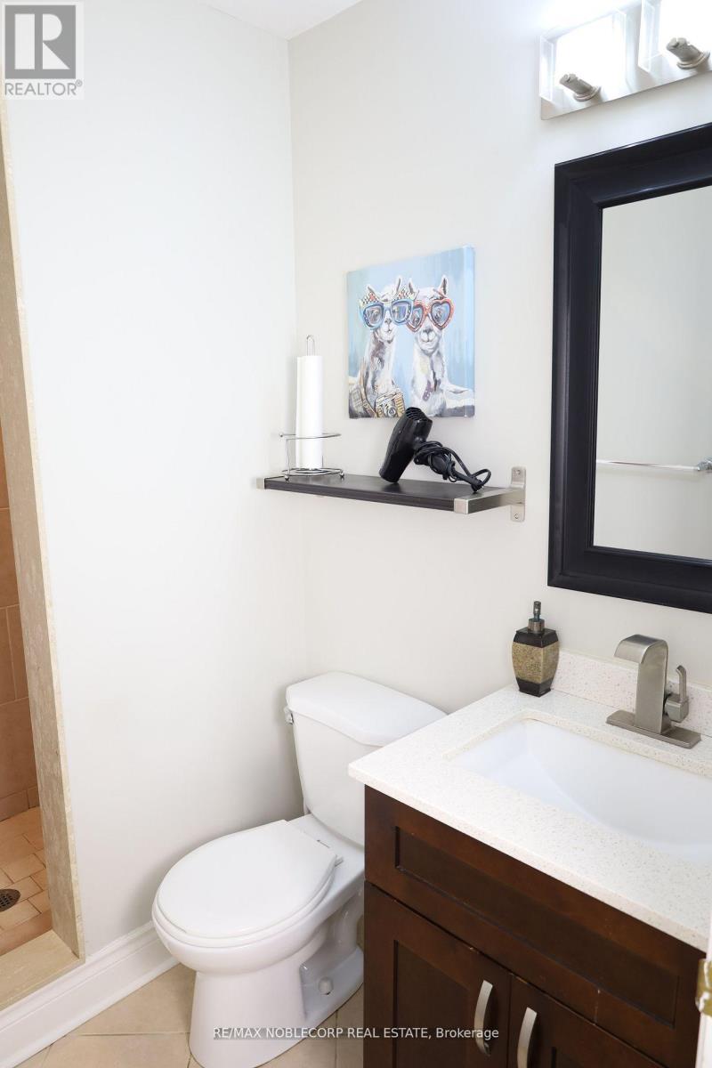 Lower - 5 Twinberry Crescent, Vaughan, Ontario  L4L 3X5 - Photo 10 - N13154806