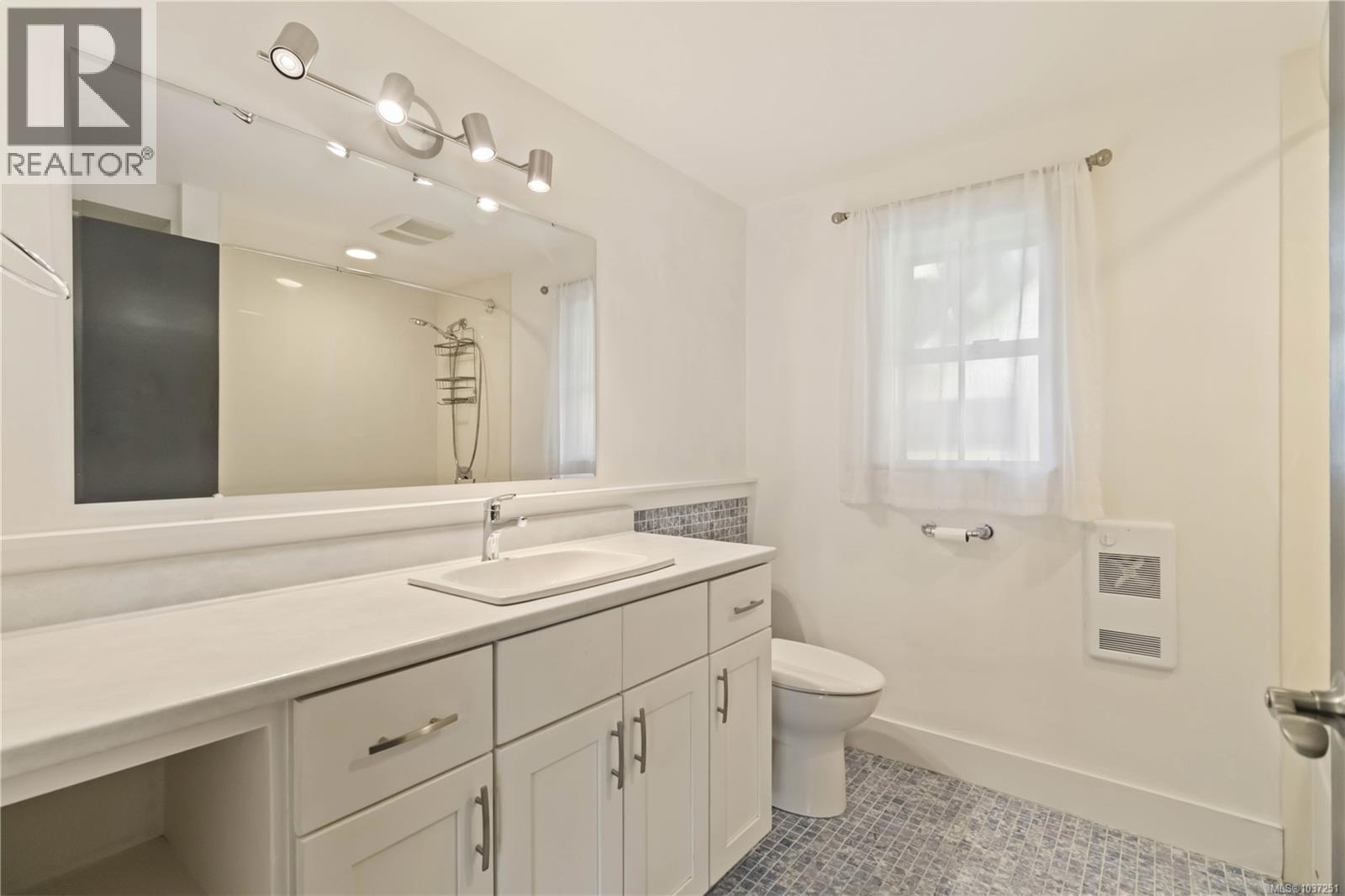 1273 Denman St, Victoria, British Columbia  V8T 1L8 - Photo 51 - 1037251