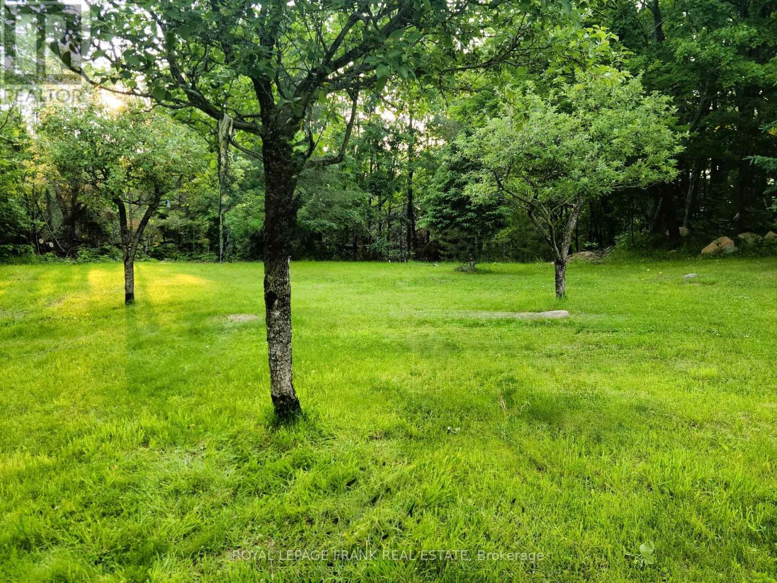 352 Lasswade Road, North Kawartha, Ontario  K0L 1A0 - Photo 41 - X13072558