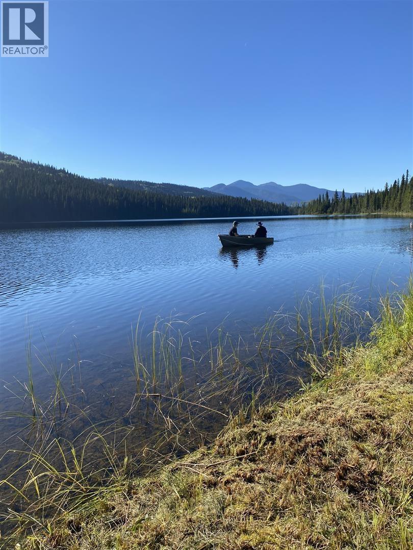 5900 Bowron Lake Road, Wells, British Columbia  V0K 2R0 - Photo 13 - R3126241