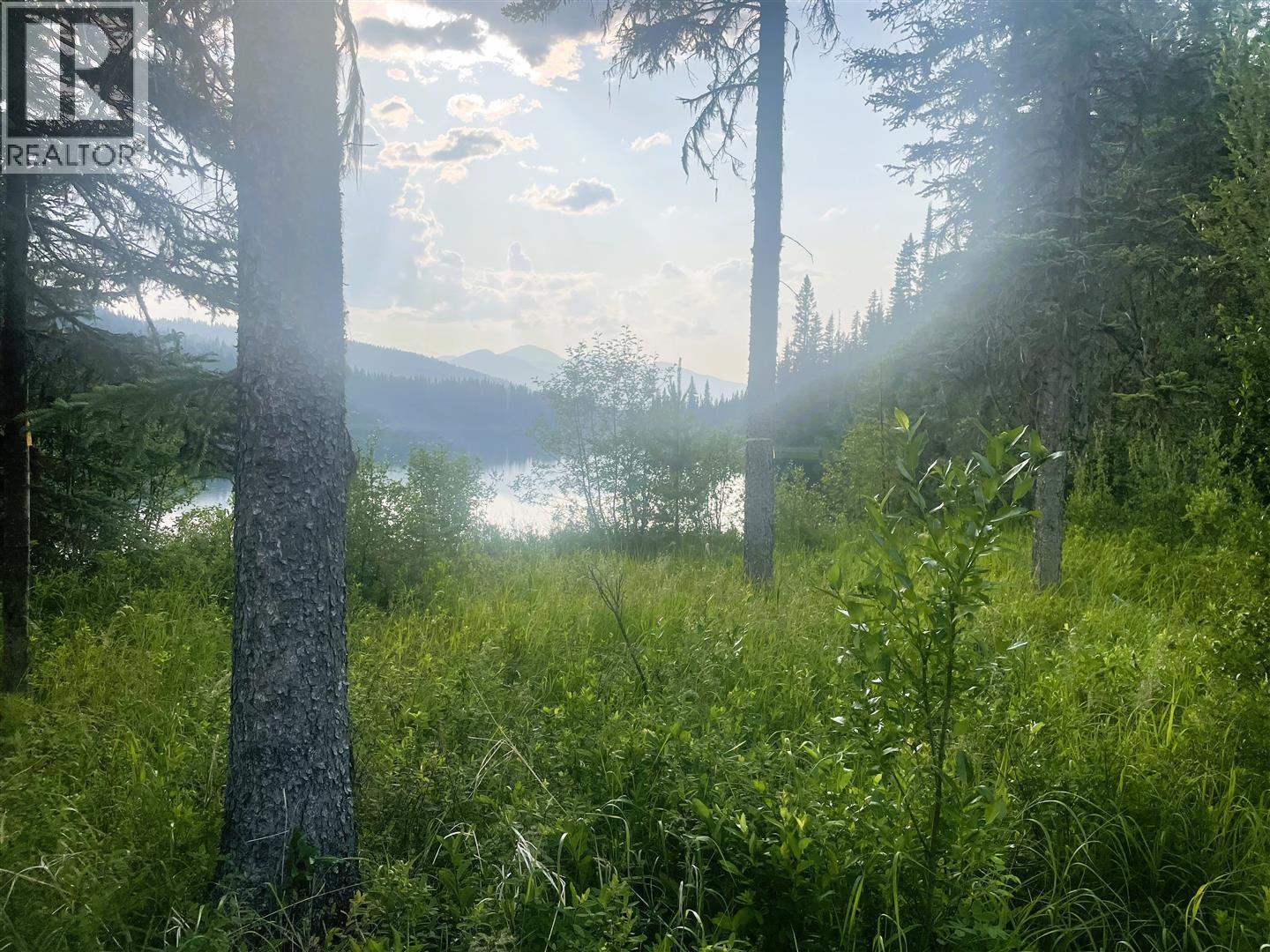 5900 Bowron Lake Road, Wells, British Columbia  V0K 2R0 - Photo 17 - R3126241