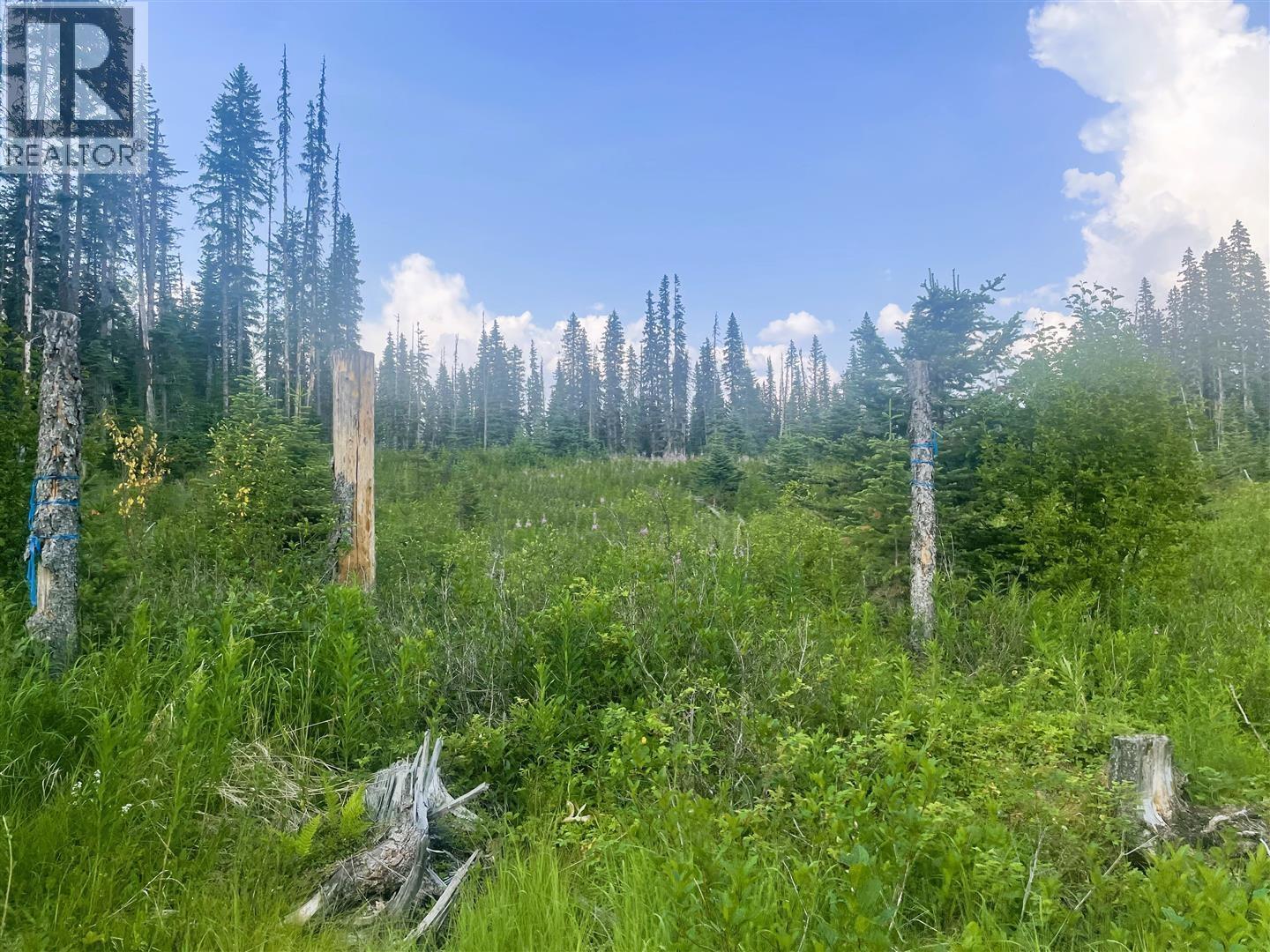 5900 Bowron Lake Road, Wells, British Columbia  V0K 2R0 - Photo 18 - R3126241