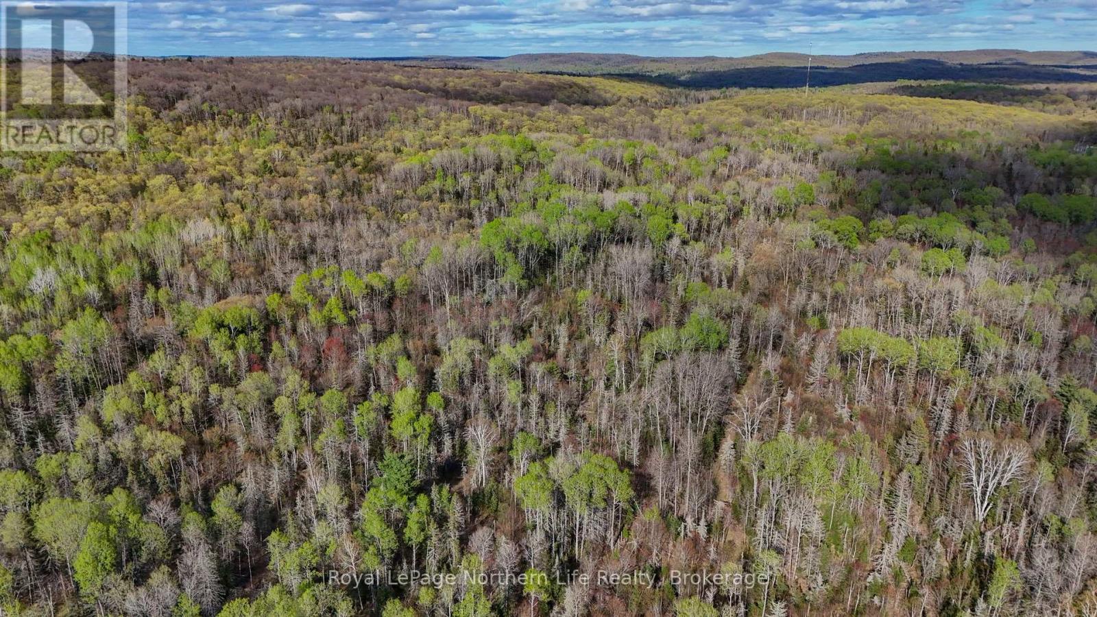 349 North River Road, Unorganized Townships (Redbridge), Ontario  P0H 2A0 - Photo 6 - X13155502