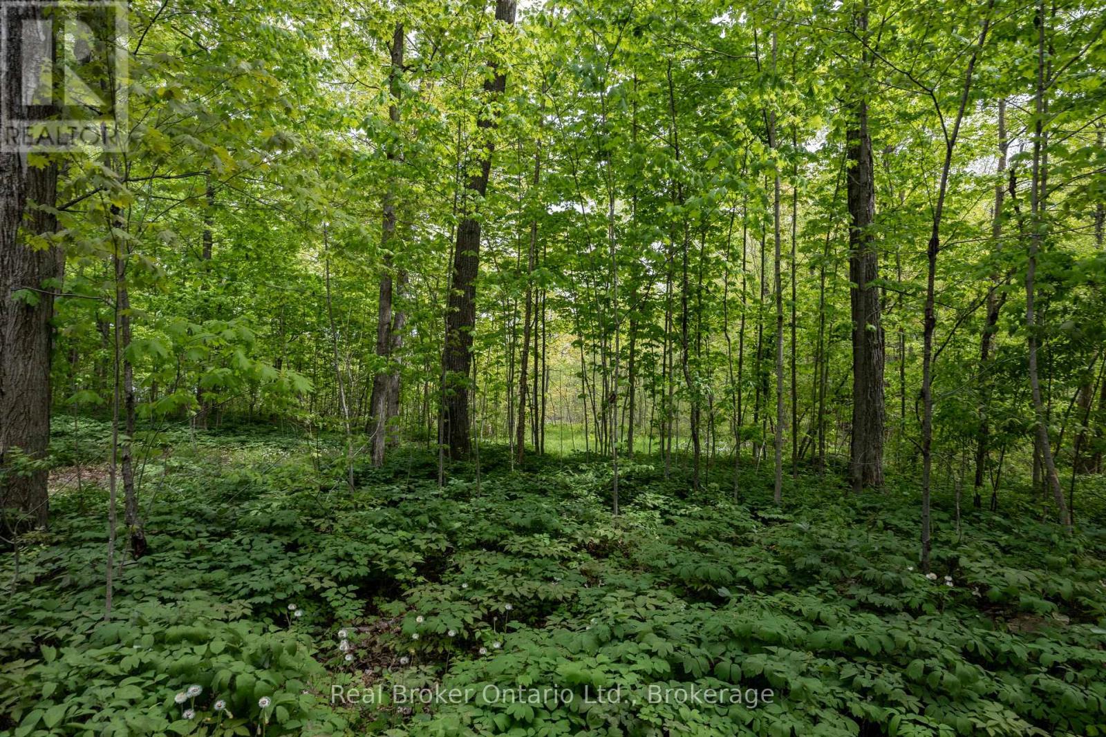 3061 Green Road, Clarington, Ontario  L1C 3K4 - Photo 48 - E13155496