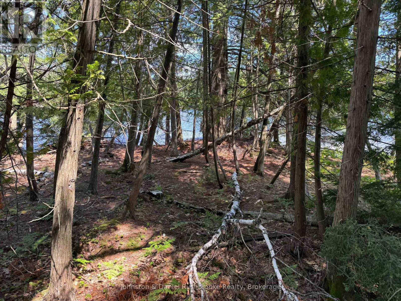 2 Island 24lm (Denison), Gravenhurst, Ontario  P1P 1R2 - Photo 5 - X13155808