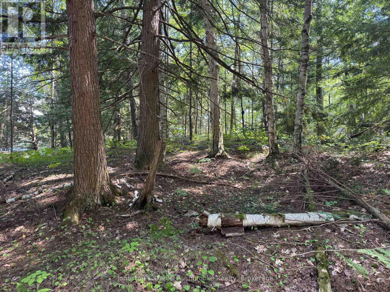 2 Island 24lm (Denison), Gravenhurst, Ontario  P1P 1R2 - Photo 9 - X13155808