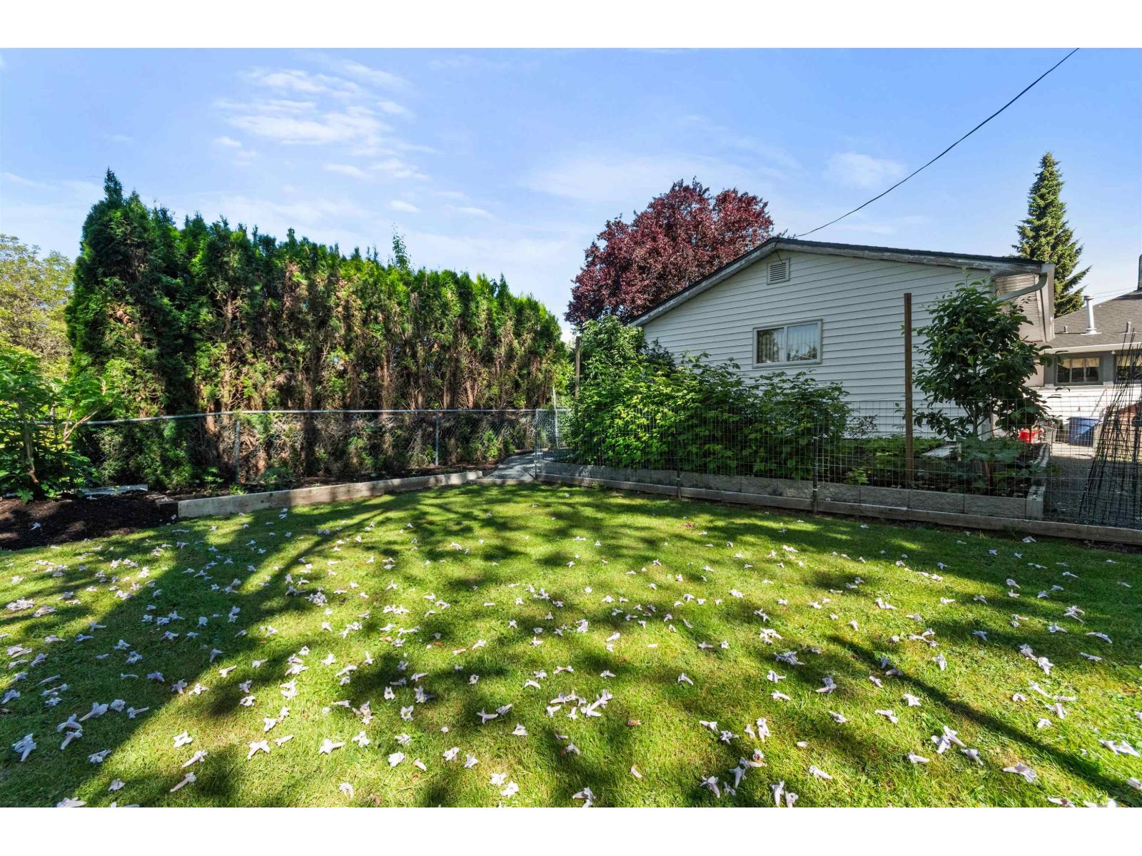 46054 King Avenue, Chilliwack Proper East, Chilliwack, British Columbia  V2P 3B5 - Photo 7 - R3125578