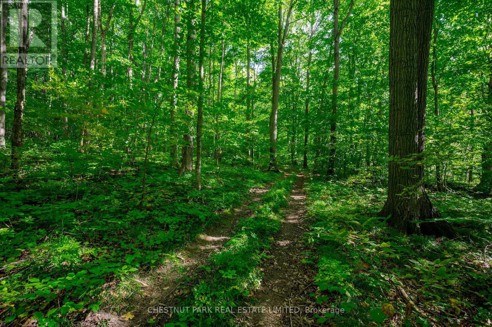 000 Crossen Road, Hamilton Township, Ontario  K9A 4J9 - Photo 18 - X13007426