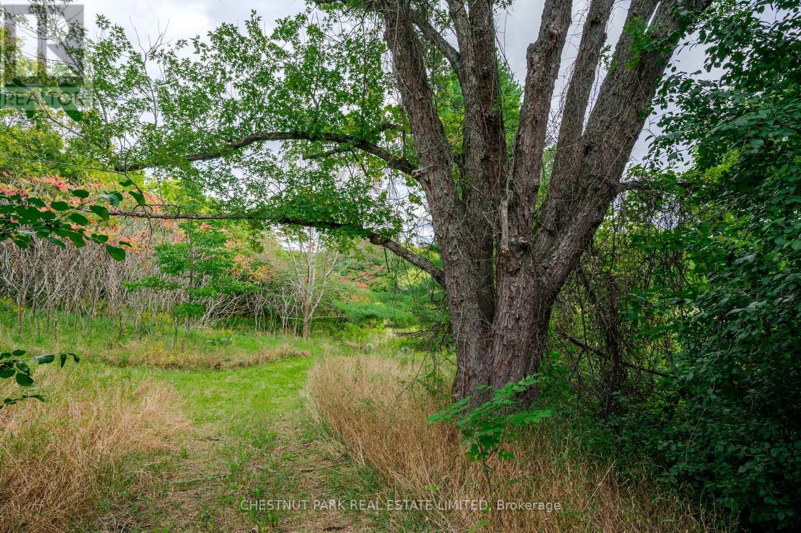 000 Crossen Road, Hamilton Township, Ontario  K9A 4J9 - Photo 11 - X13007426