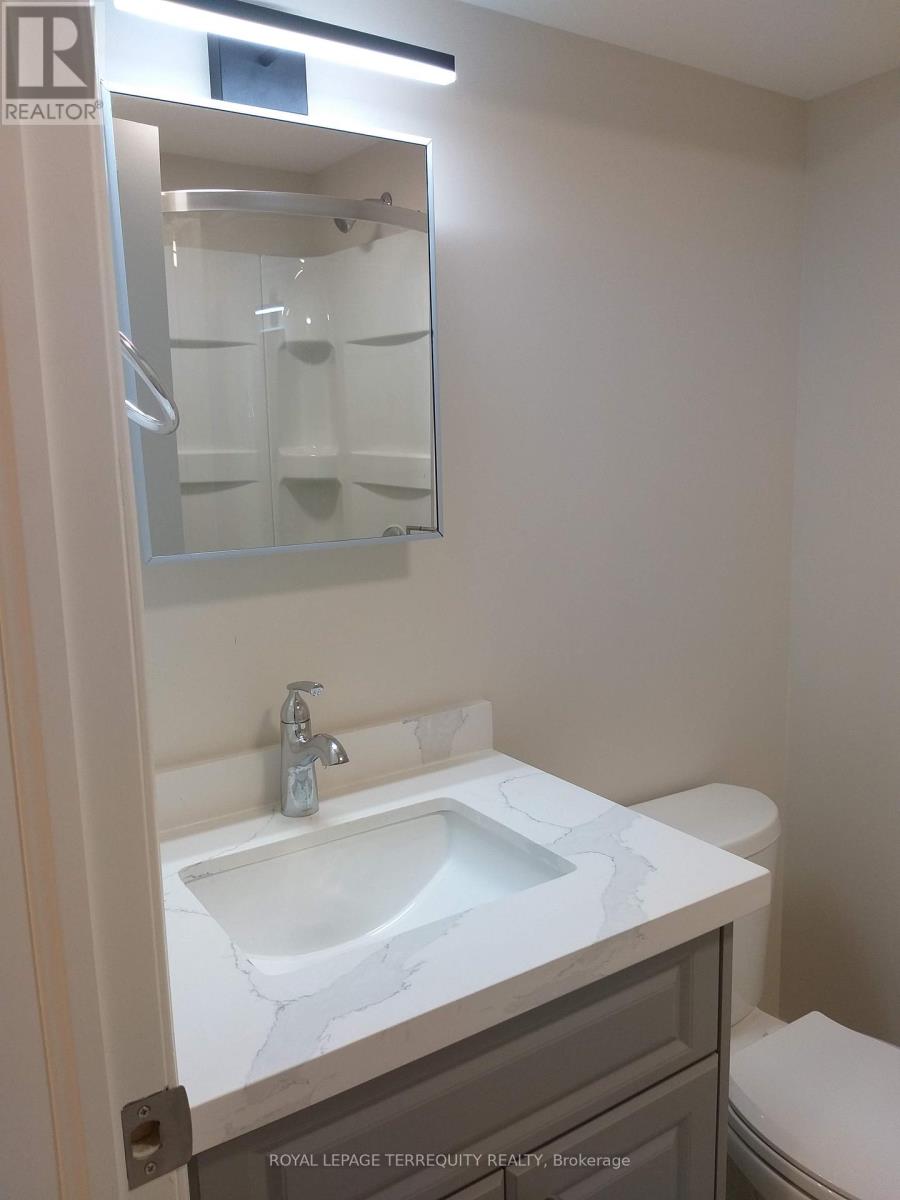Basement - 460 Chieftan Circle, Mississauga, Ontario  L4Z 3A6 - Photo 4 - W13155622