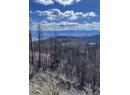 530 Rose Valley Road, West Kelowna, BC V1Z 3T7