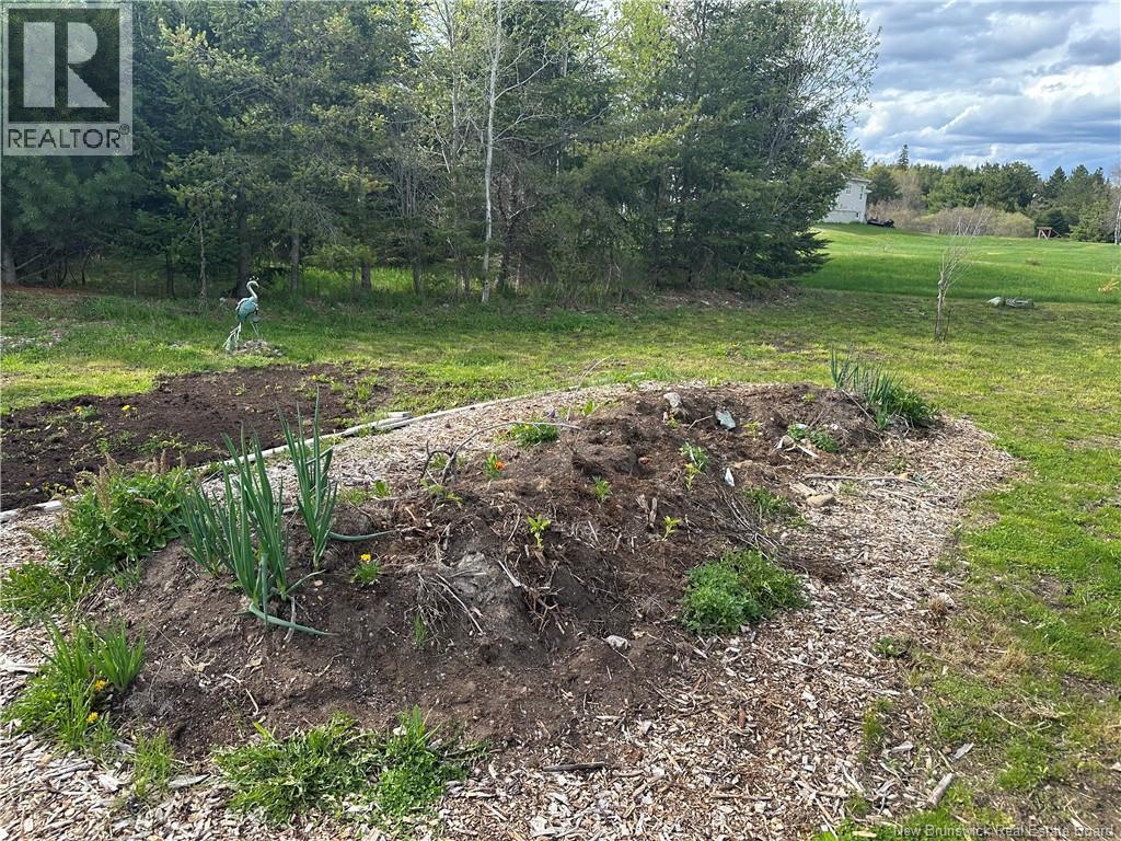 178 Gray Road, Penobsquis, New Brunswick  E4E 5T1 - Photo 10 - NB137031