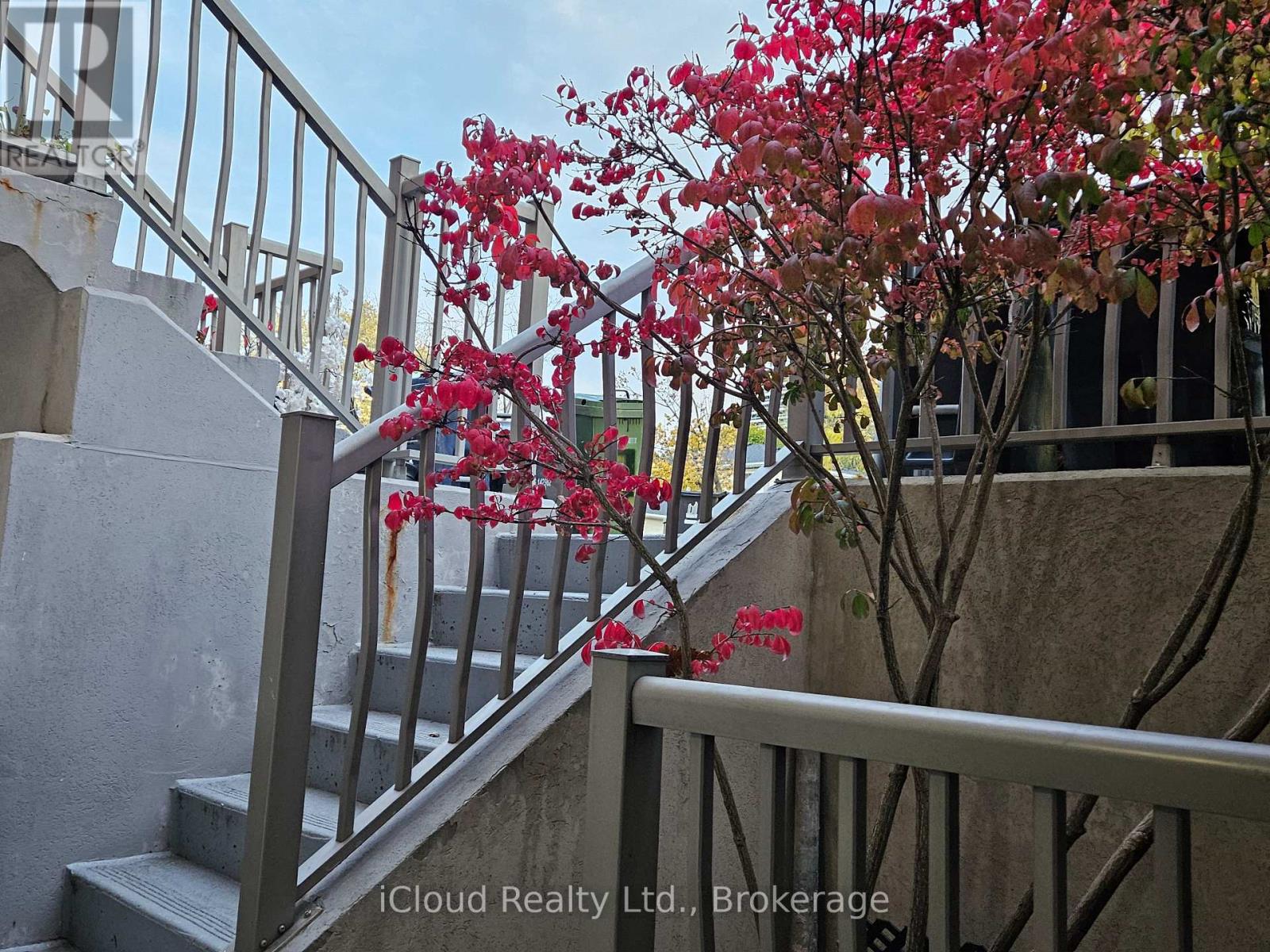 11 - 285 Antibes Drive, Toronto, Ontario M2R 3X9 - Photo 28 - C12980692