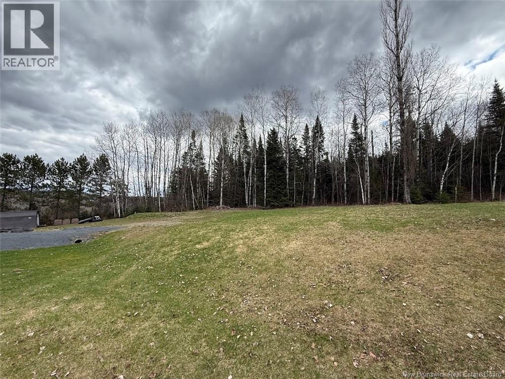 29 Rang 3 Road, Saint-Basile, New Brunswick  E7C 2C3 - Photo 28 - NB139985