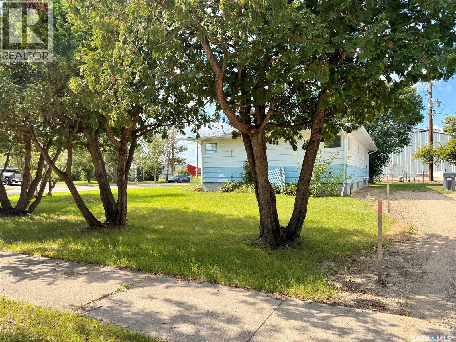 201 Ottawa Street, Davidson, Saskatchewan  S0G 1A0 - Photo 44 - SK036713