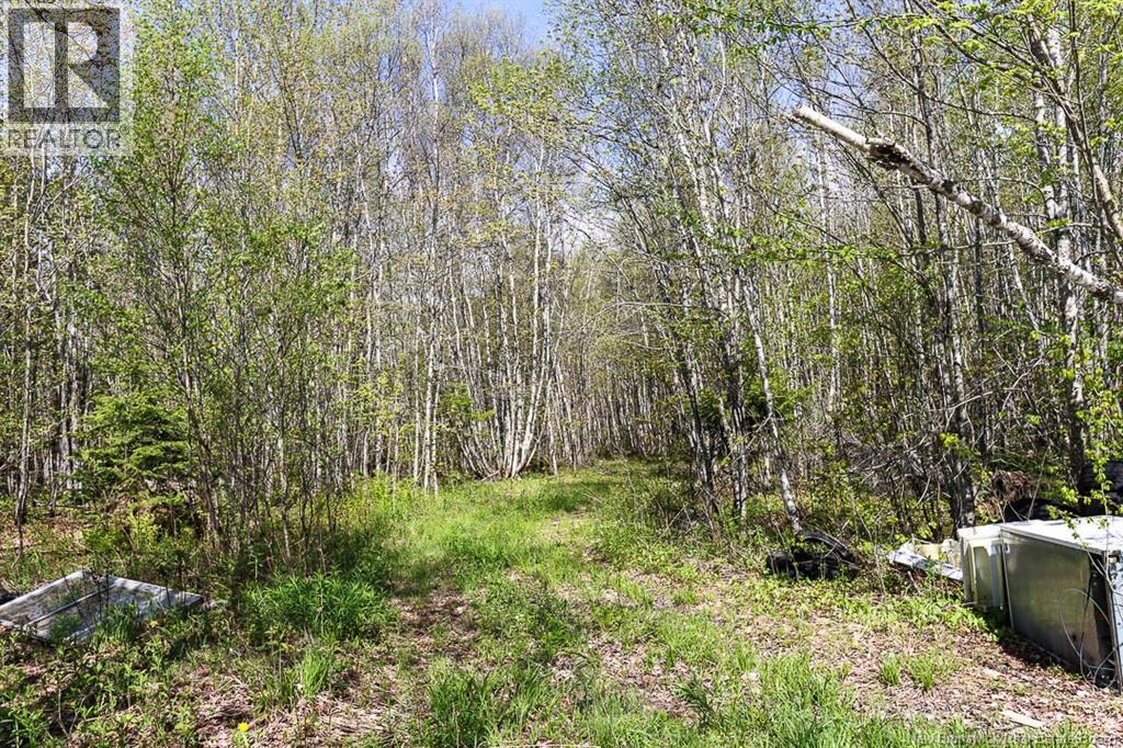41 Pleasant Ridge Road, Pleasant Ridge, New Brunswick  E5P 0A6 - Photo 29 - NB139962