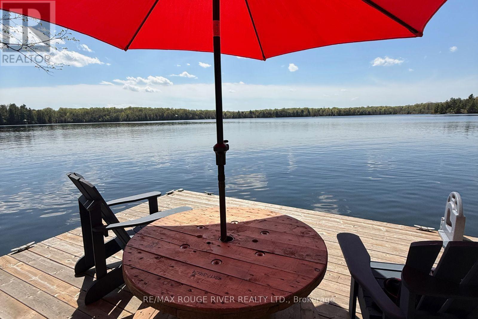 1784 Opeongo Point Road, Frontenac, Ontario  K0K 2K0 - Photo 3 - X13156160