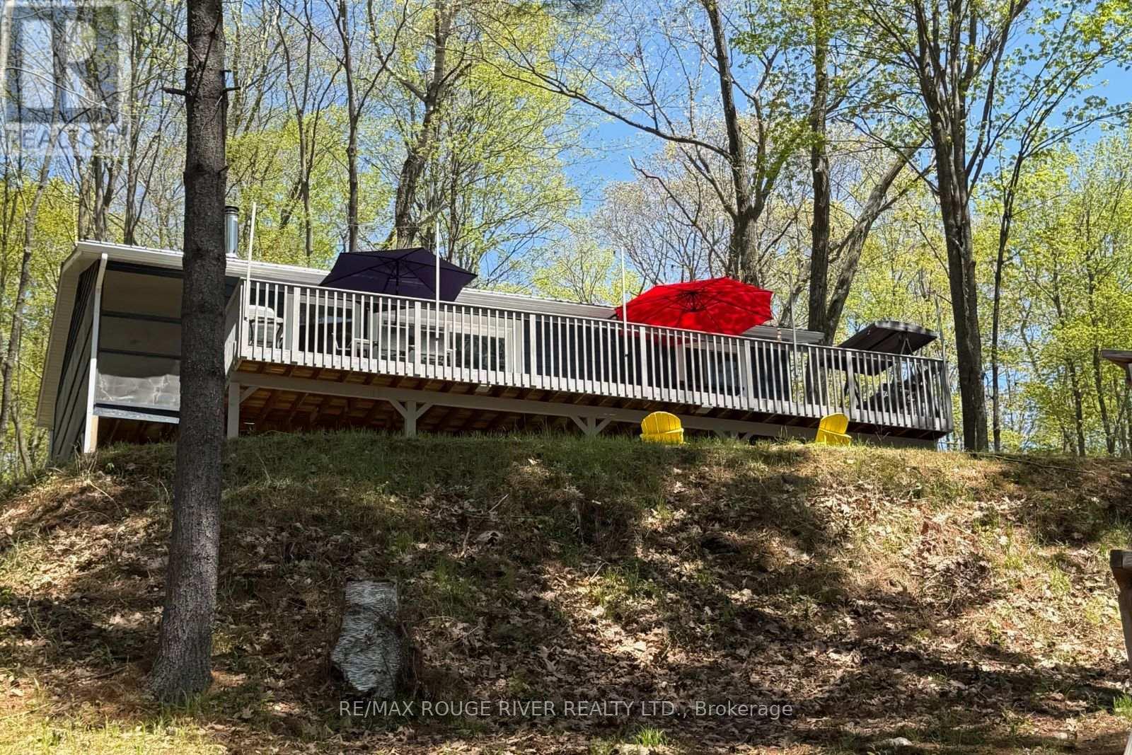 1784 Opeongo Point Road, Frontenac, Ontario  K0K 2K0 - Photo 32 - X13156160