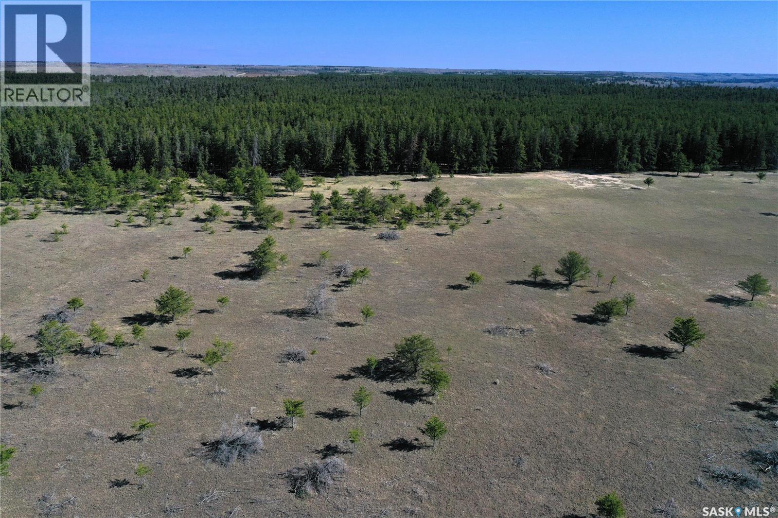 2 Cunningham Drive, Torch River Rm No. 488, Saskatchewan  S0E 1E0 - Photo 2 - SK036689