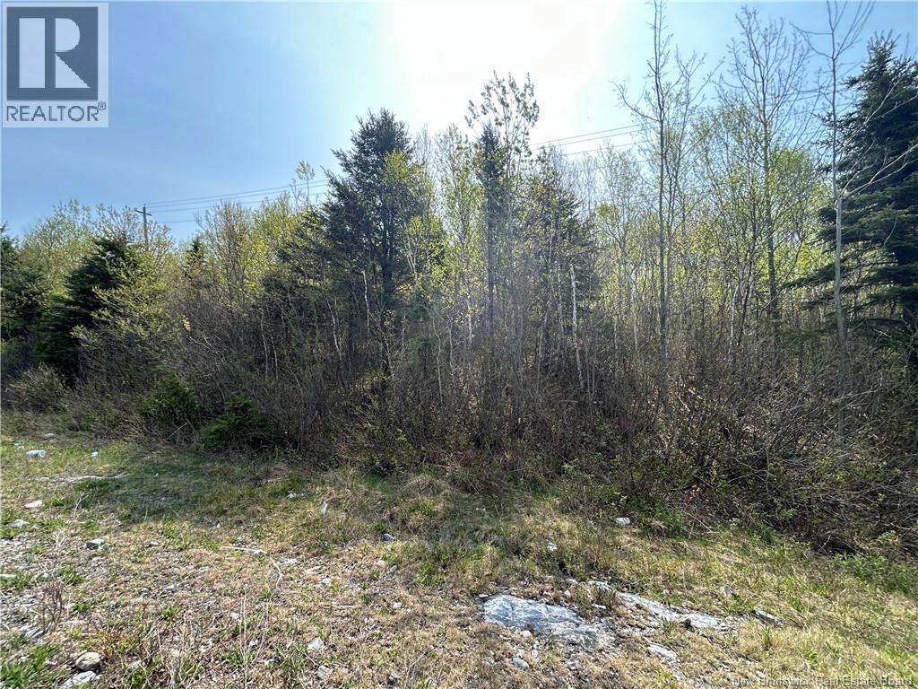 Golden Grove Mountain, Rothesay, New Brunswick  E2H 2X1 - Photo 1 - NB139833