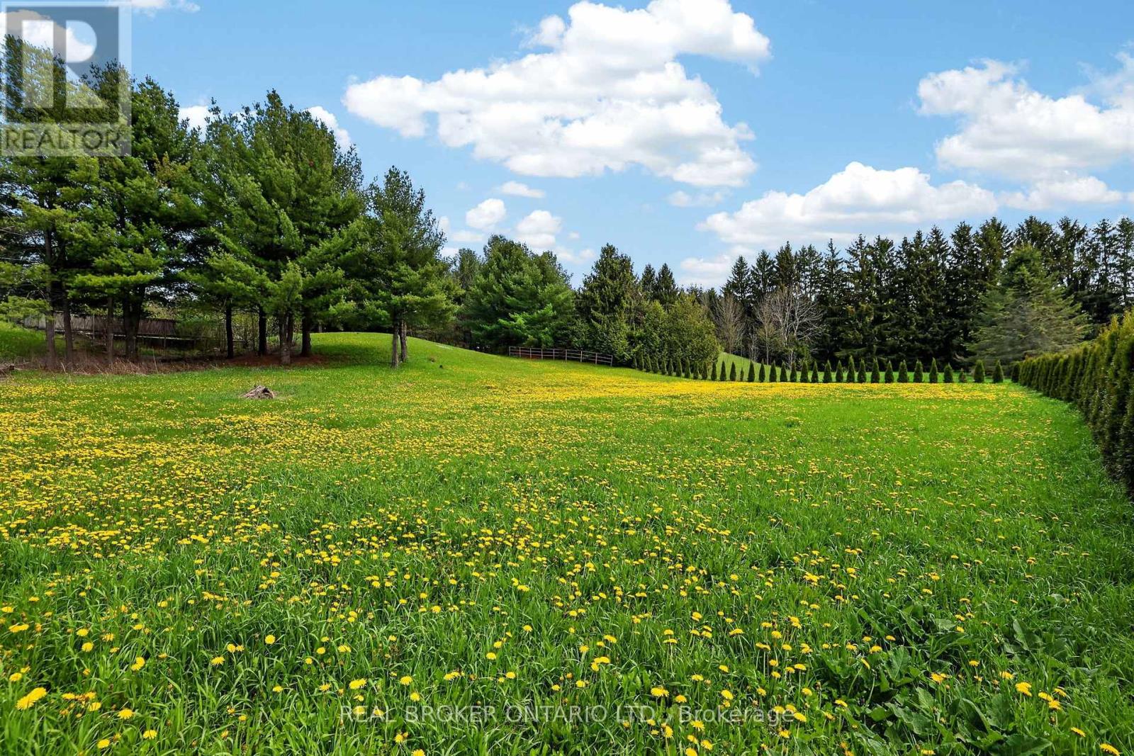 26 Orchard Court, East Gwillimbury, Ontario  L0G 1M0 - Photo 41 - N13156574