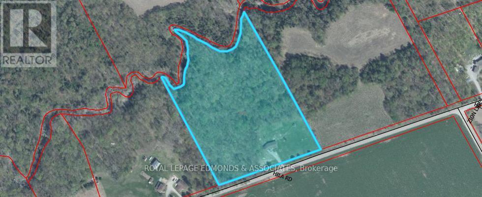 346 Hila Road, Whitewater Region, Ontario  K8A 6W3 - Photo 2 - X13156122