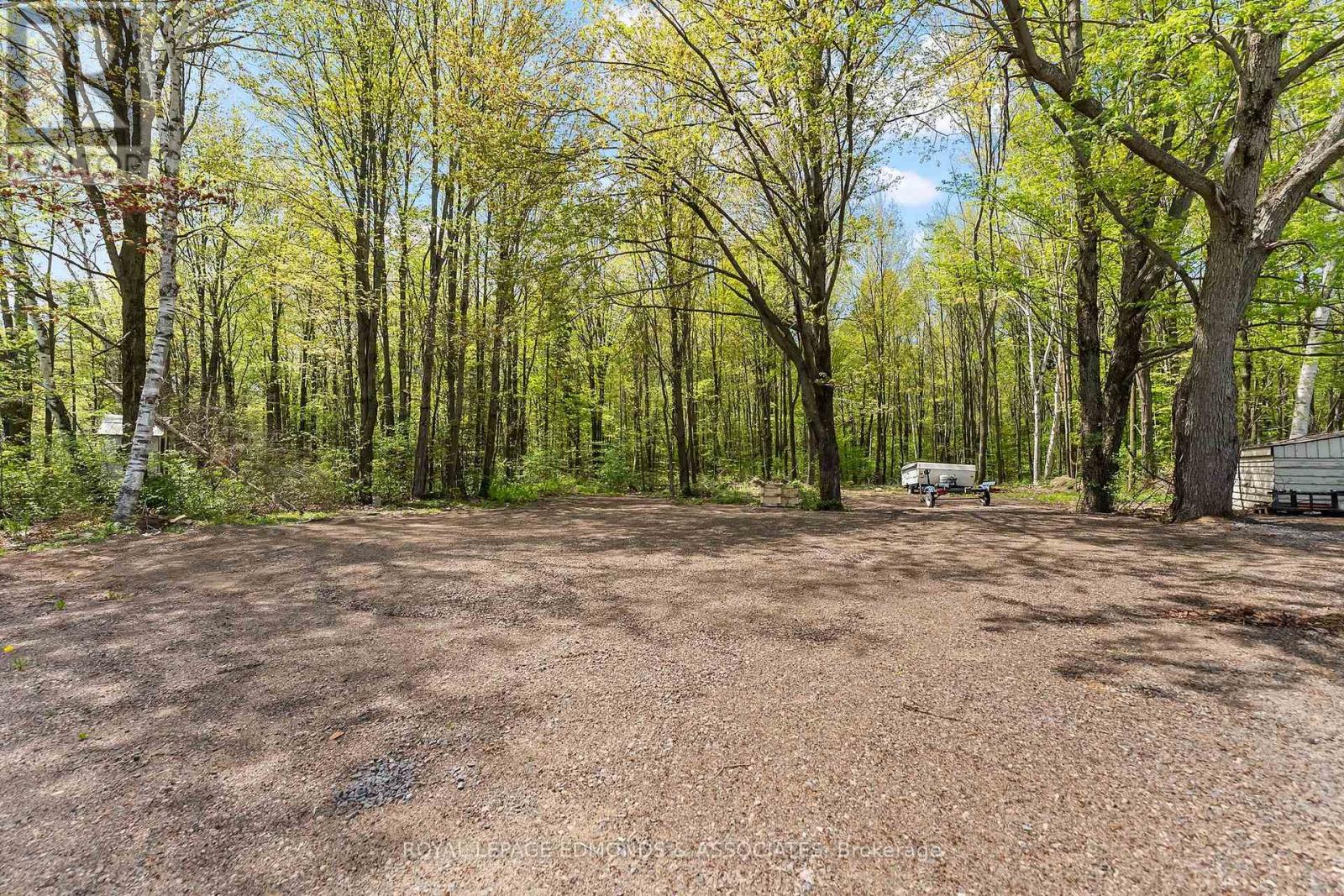 346 Hila Road, Whitewater Region, Ontario  K8A 6W3 - Photo 42 - X13156122