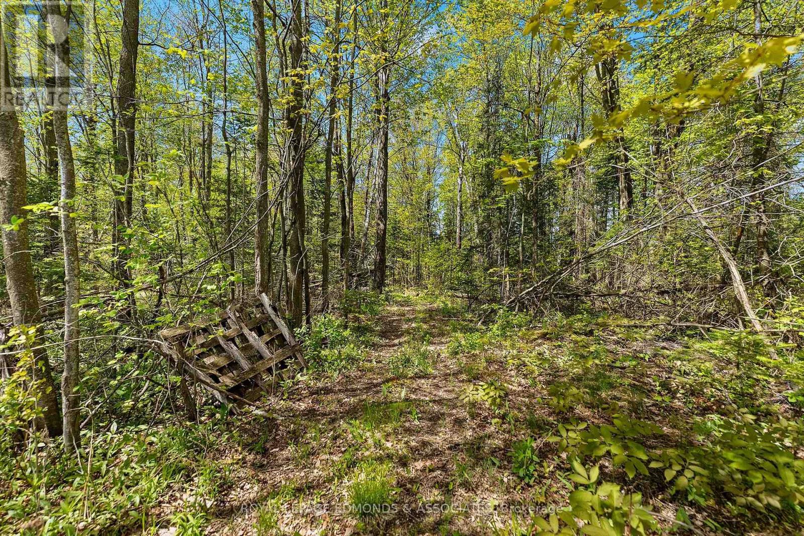 346 Hila Road, Whitewater Region, Ontario  K8A 6W3 - Photo 41 - X13156122
